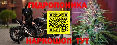ГАЛЛЮЦИНОГЕННЫЕ ГРИБЫ Коммунар